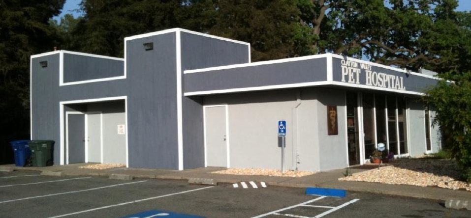 561364_355921434469861_362235902_n